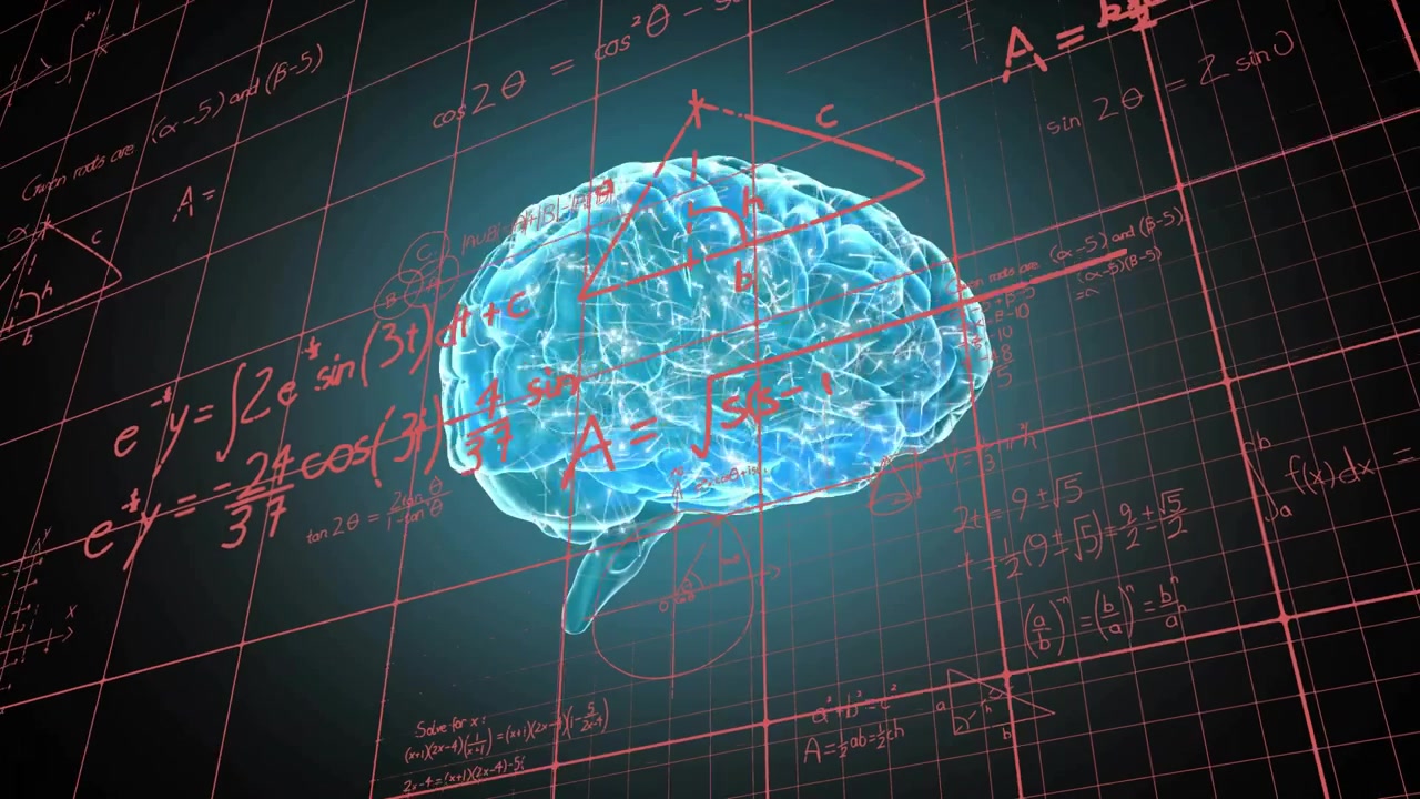 Digital Human Brain Model with Mathematical Formulas and Grid