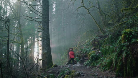 girl hiking though misty alpine forest trail in washington state