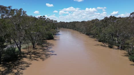 flooded muddy brown goulburn river