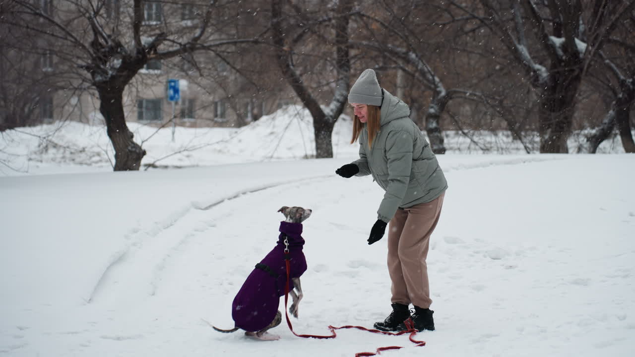 Woman wearing winter clothes bends toward obedient dog in purple coat sitting on snow, raising hand in command gesture during outdoor training session in snowy park with trees and apartment buildings behind