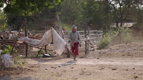 a farmer tending to cattle in a dusty rural enclosure