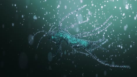 Bacterias-Del-Agua-En-Exploración-Microscópica-4k