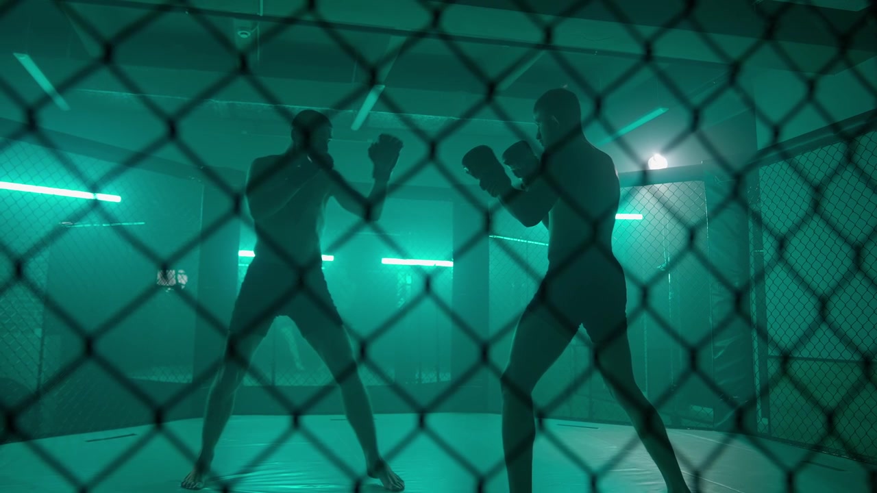 Silhuetter af to mandlige kæmpere i et MMA-bur med grøn belysning