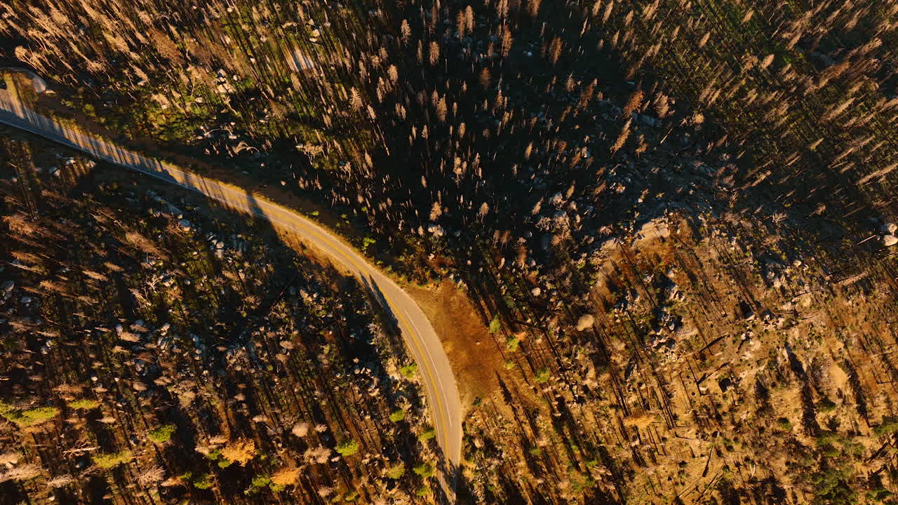 Dry landscape in the mountains covered with pine trees. Drone footage above the road crossing the Sierra National Forest in USA.