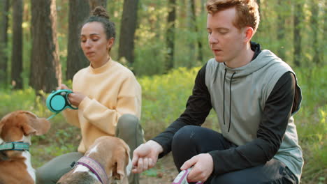 couple training their beagles in the park