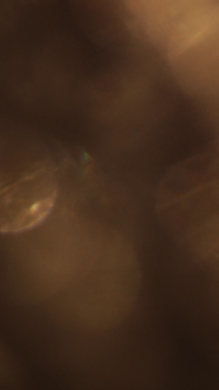 Perdite di luce dorate astratte ed effetto bokeh in sovrimpressione
