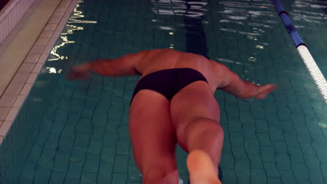 vista trasera de un nadador que se sumerge en la piscina