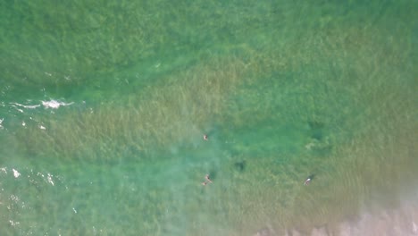 la vista aérea de arriba hacia abajo se eleva rápidamente por encima de las claras y pacíficas olas del océano en la bahía de byron, capturando el movimiento rítmico y la serena belleza del agua.