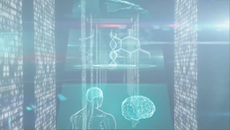 animation of medical data processing and digital information flowing through network of computer