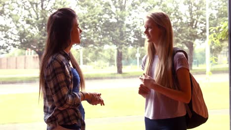 two students talking to each other