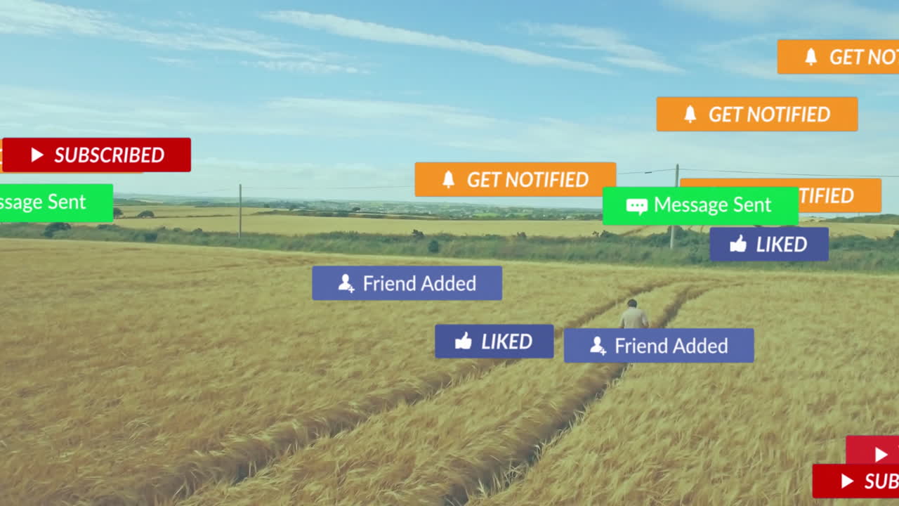 социальные медиа уведомления анимация над человеком, идущим по пшеничному полю