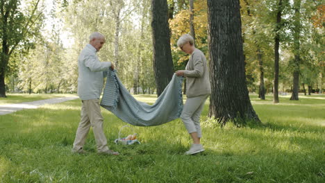 senior couple enjoying a picnic in the park