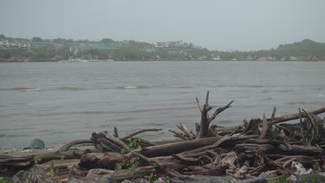 gentle waves lap against a wooden shore beneath misty grey clouds in calm weather