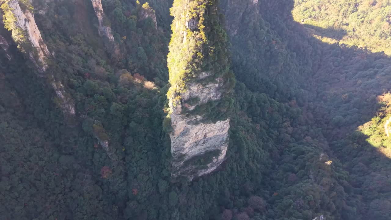 Filmato aereo con drone che si innalza lungo un enorme pilastro di pietra ricoperto di vegetazione, paesaggio montuoso di Zhangjiajie Avatar Hallelujah, parco nazionale cinese