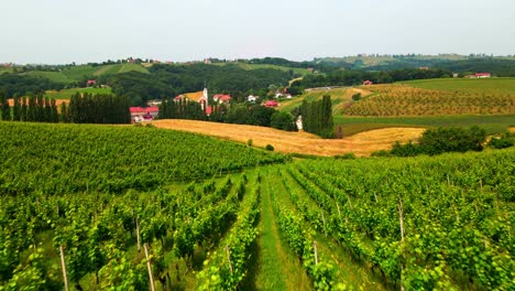 Luftaufnahmen-Von-4K-Drohnen-Von-Weinbergen-In-Der-Region-Prlekija-In-Slowenien