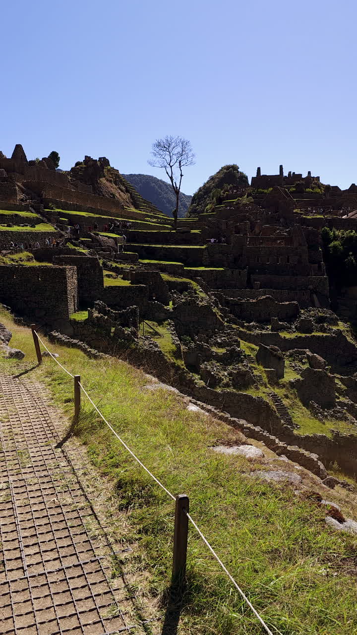 Experience the wonder of Machu Picchu under clear, sunny skies. The majestic Inca citadel's stunning terraces and stone structures, a timeless blend of ancient history
