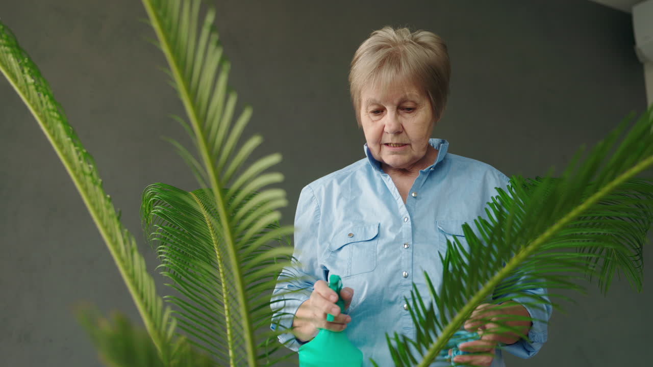 Starší žena zalévá pokojovou rostlinu