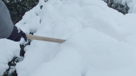 tirando de la nieve de una rama con una escoba