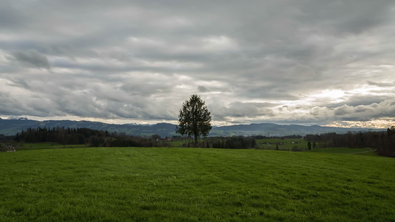 lapso de tiempo en una colina con un árbol