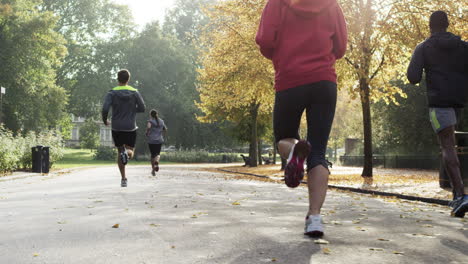 grupo de corredores corriendo en el parque usando dispositivos conectados a la tecnología portátil