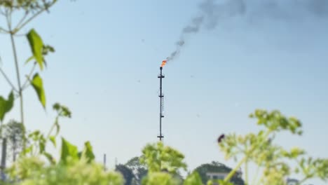 Planta-De-Campo-De-Gas-Kailashtilla-Vista-Llama-Naranja-Ardiente-En-Segundo-Plano