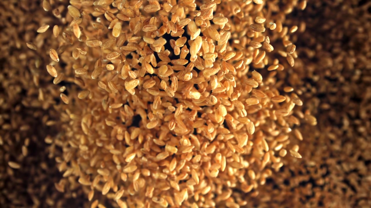 Grani di grano dorati che cadono al rallentatore