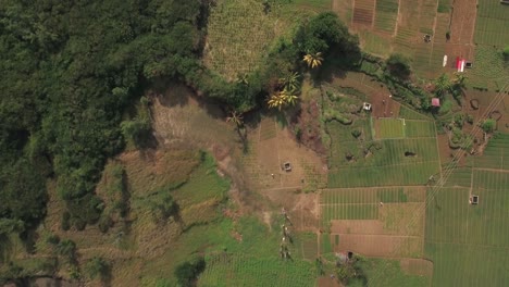 Flug-über-Ackerland-Auf-Der-Insel-Mauritius