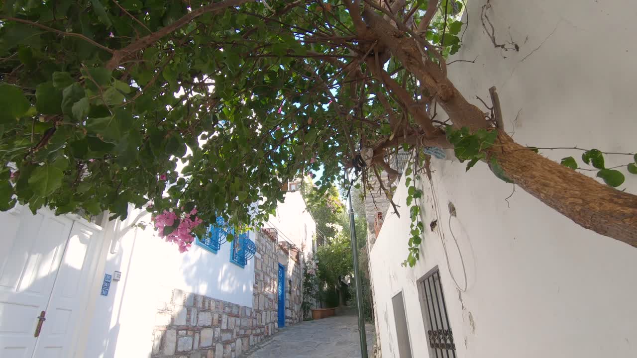 árbol de buganvillas en flor, arquitectura mediterránea del mar egeo en bodrum, turquía