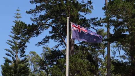 Shot-of-New-Zealand-flag-waving-in-the-sky-above-trees-blue-skyline