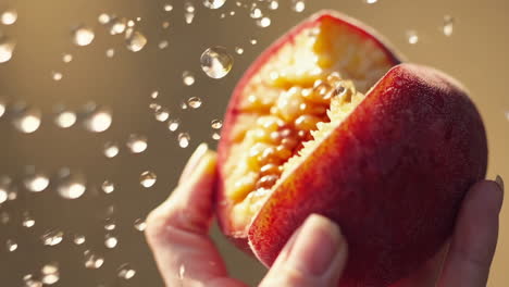 fresh peach in hands