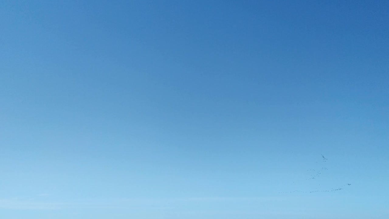 멀리 철새가 있는 푸른 하늘