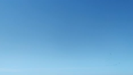 Blue-sky-with-migrating-birds-in-the-distance