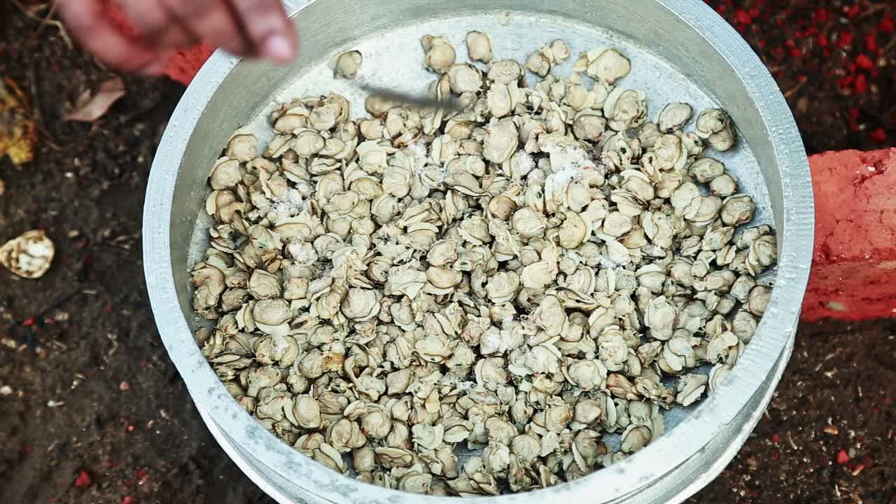 검은 조개 고기에 소금을 첨가하여 오븐에서  ⁇ 고 깨 ⁇ 하게 보관합니다. 인도 스타일의 야외 요리, 벽돌 오븐에서 요리합니다.