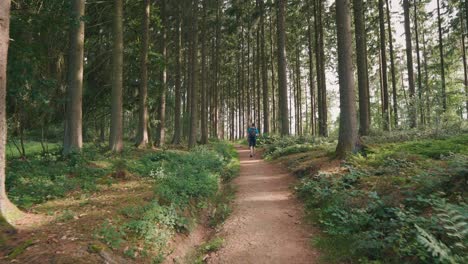 guy walking between the trees