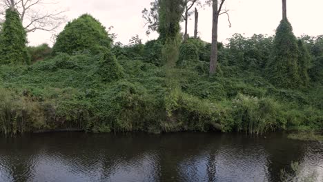 View-of-Christmas-Creek-in-the-Scenic-Rim-adjacent-to-Burgess-Park-Camp-Ground