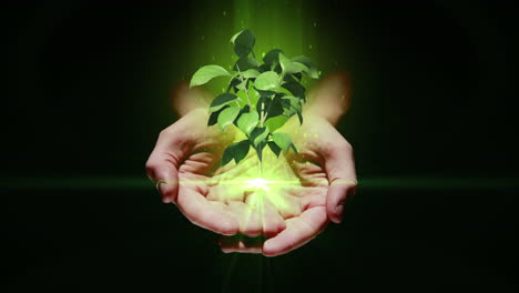 Hand-presenting-digital-green-plant-growing