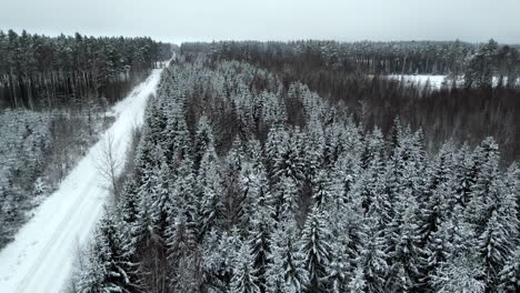 Bosque-Siempreverde-Helado-En-Un-Campo-Invernal---Paso-Elevado-Aéreo