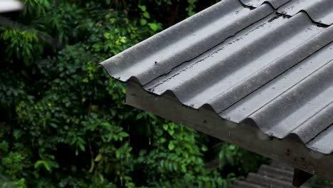 rain water flowing down from the roof corner