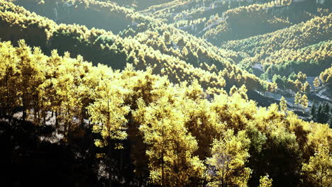 view on autumn forest in mountains and blue sky of switzerland