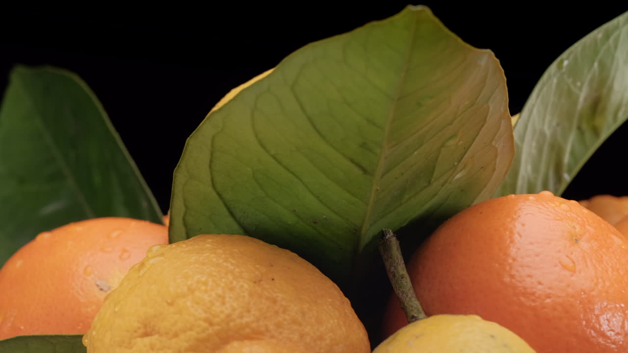 cítricos limón y naranja