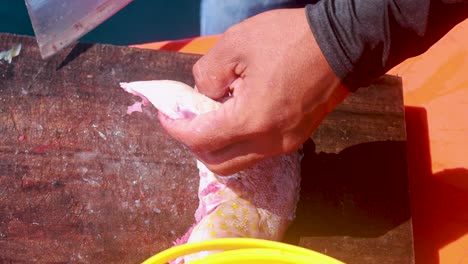 a person skillfully cleans a fish on a wooden board under bright sunlight, using a knife for precise cuts