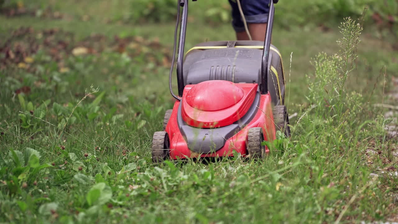 Homeowner working in garden uses lawn mower to mow green grass. Gardener is cutting grass by red electrical mower machine outdoors.