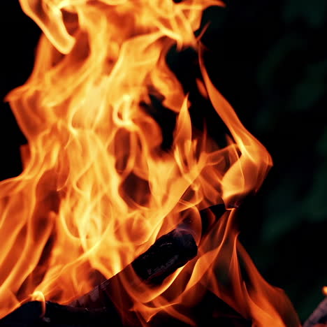 beautiful fire burns brightly. burning logs in orange flames. background of the fire. red flames surging up. close-up.