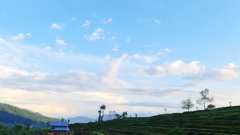 Travel-on-road-in-kashmir-morning-fresh-and-bright