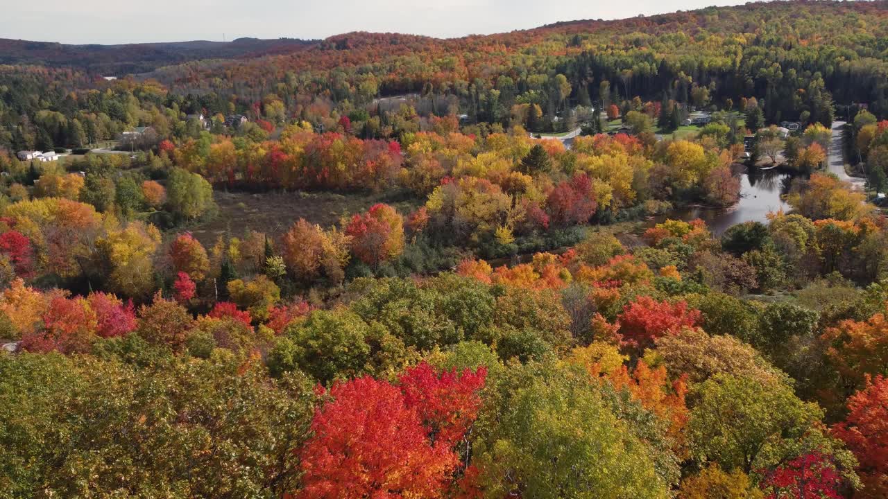 drones volando cerca de árboles y cruzando hermosos ríos luego revelan caminos y casas construidas en y alrededor del parque provincial algonquin