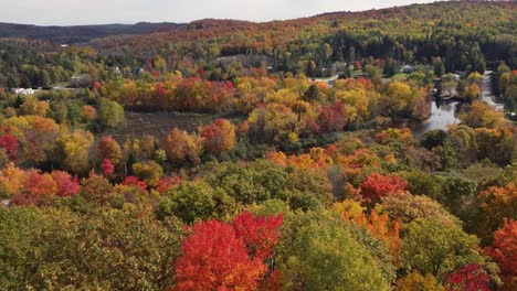 Drone-flying-close-to-trees-and-crosses-beautiful-river-later-reveal-roads-and-houses-build-in-and-around-Algonquin-Provincial-Park