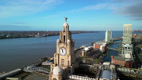 liver bird close approach by drone on a sunny morning, liverpool waterfront backdrop