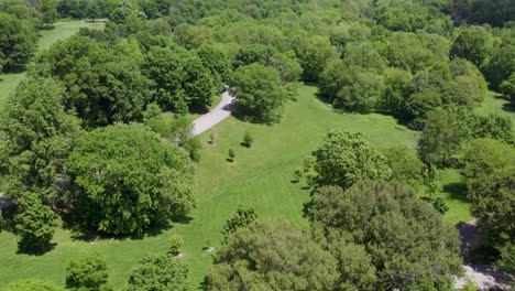 aerial view of cherokee park in louisville, ky, filled with lush green trees and open space on a sunny summer day. perfect for nature, recreation, and city lifestyle content.