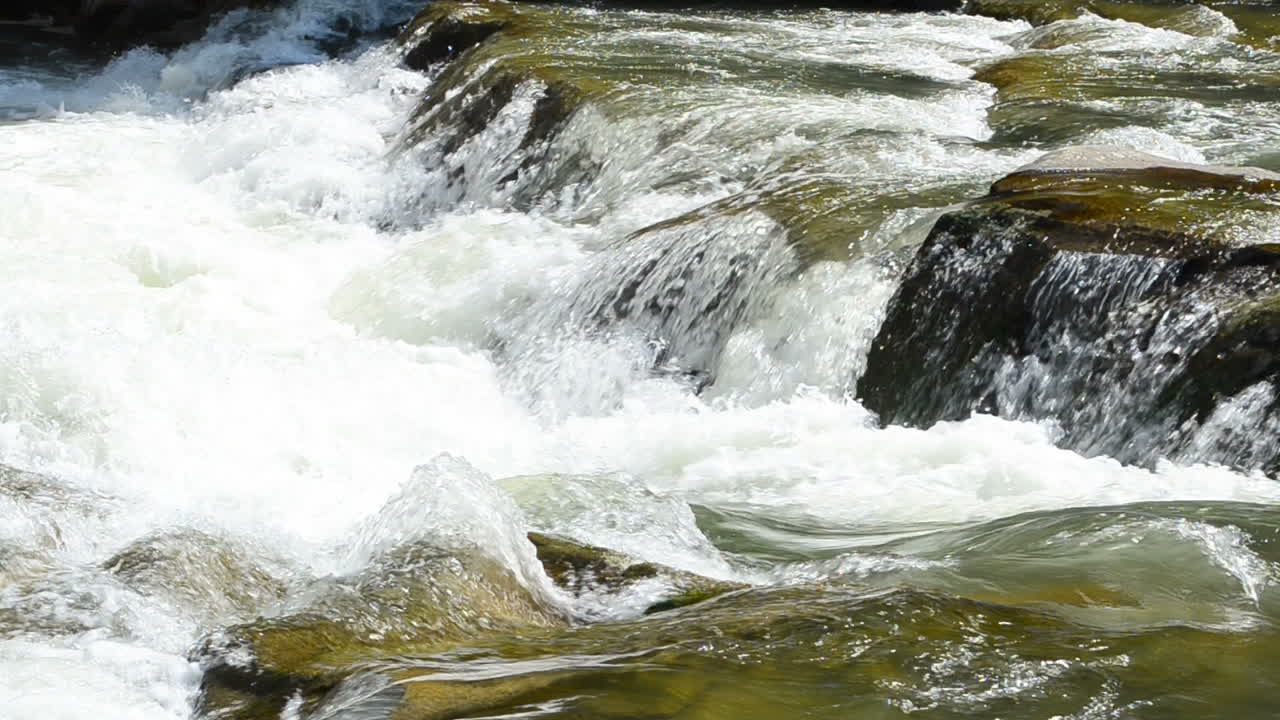 Fiume di montagna. Movimento del fiume.