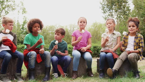 Gruppe-Von-Kindern-Auf-Einem-Campingausflug-Im-Freien,-Die-Gemeinsam-Marshmallows-Am-Lagerfeuer-Essen